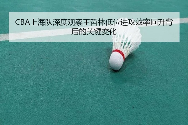 CBA上海队深度观察王哲林低位进攻效率回升背后的关键变化